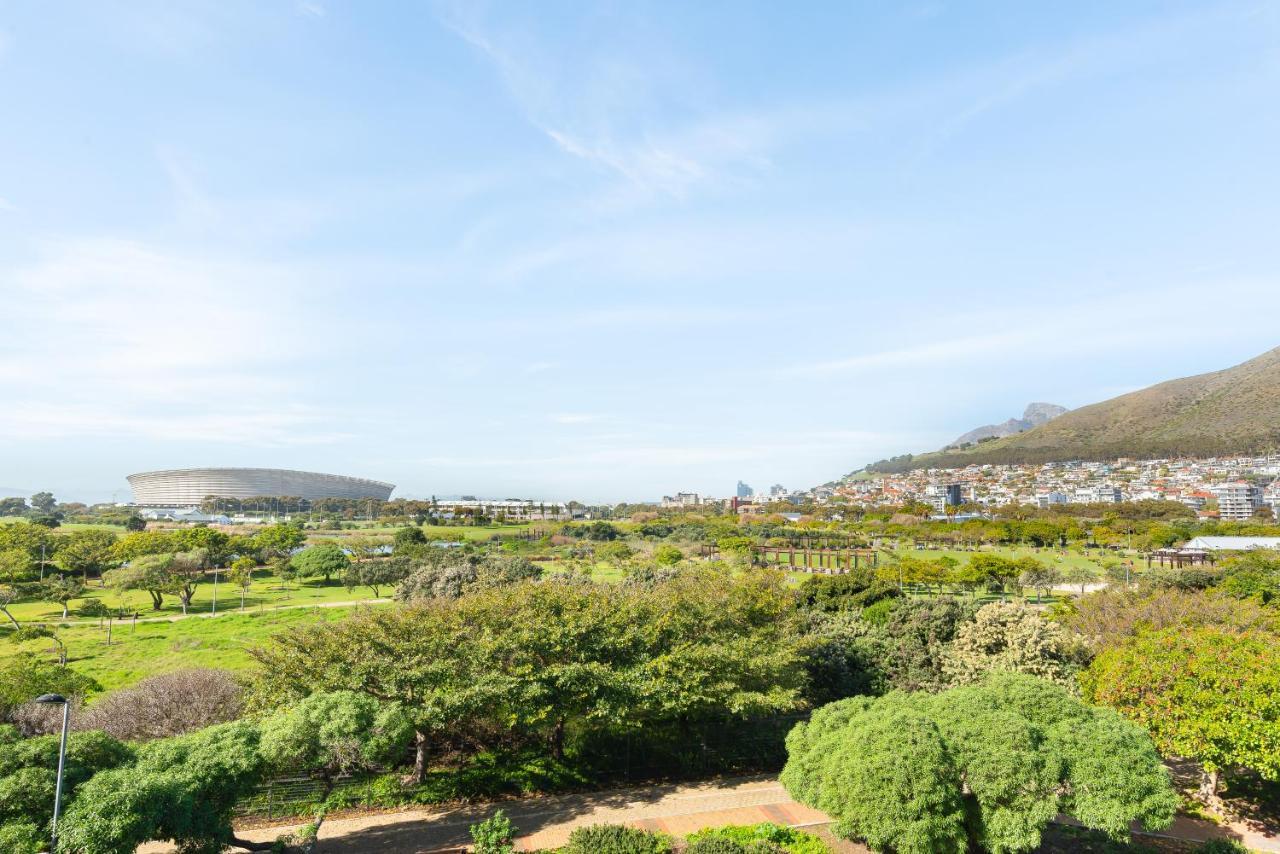 Rhodora Cape Town